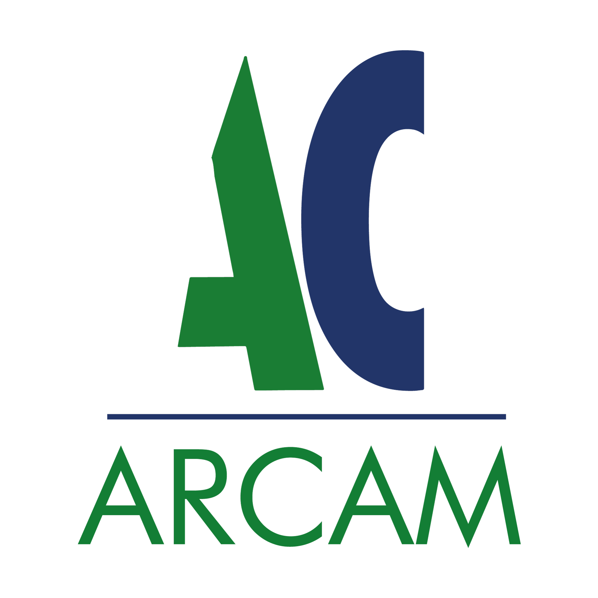 seguridadindustrialcl